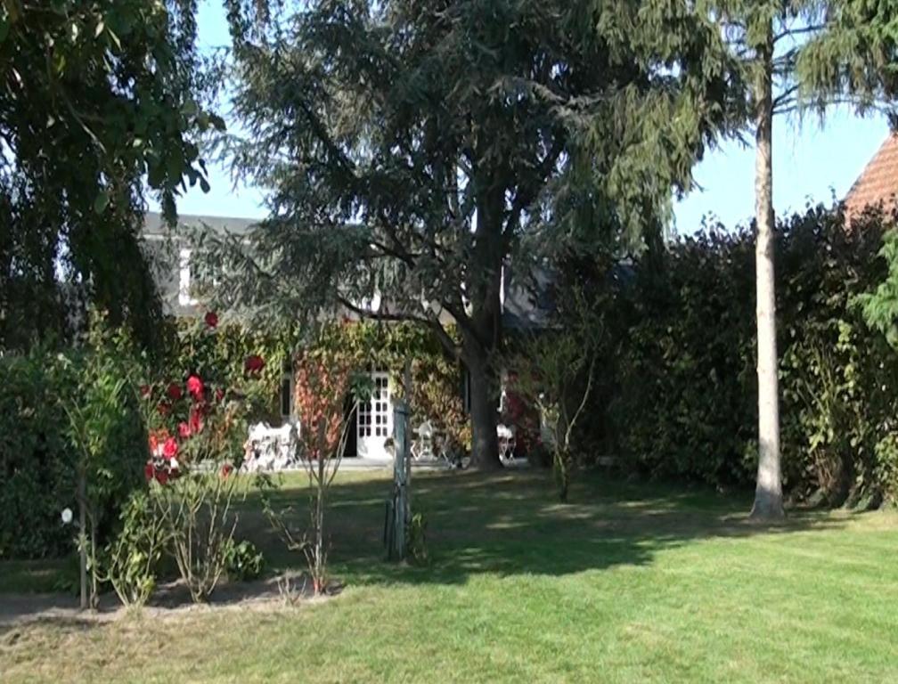 Hotel Le Petit Pont Moncé-en-Belin Esterno foto